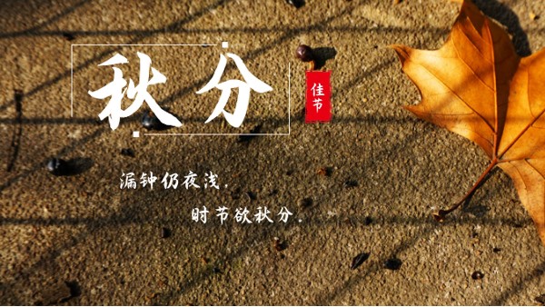 樓上樓門窗 | 白露秋分夜,一夜冷一夜，高端門窗安排上！